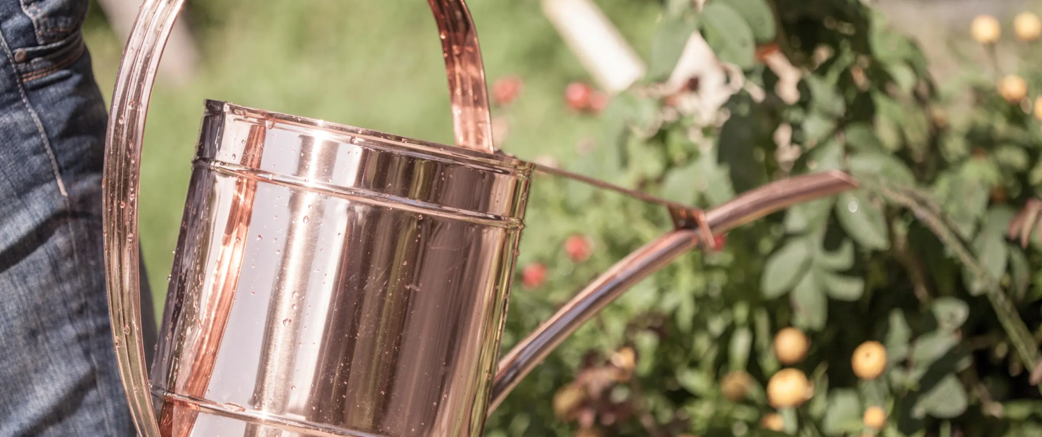 Regadera de cobre con gotas sostenidas por una mano, plantas verdes y flores de colores al fondo.