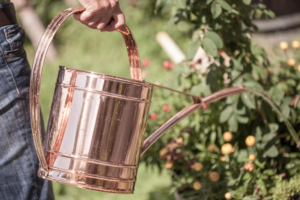 Kupferne Gießkanne mit Tropfen, die von einer Hand gehalten wird, im Hintergrund grüne Pflanzen und bunte Blumen.